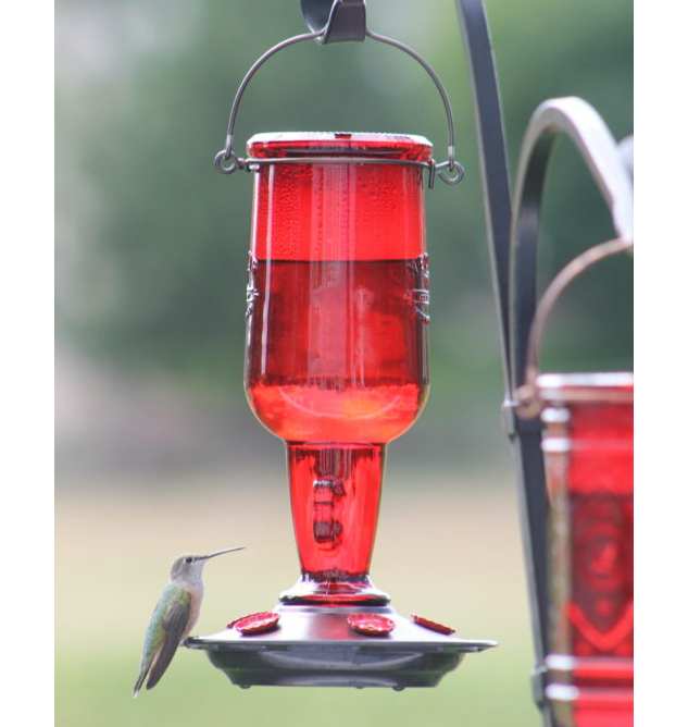 Jug Hummingbird Feeder